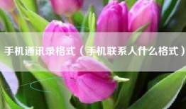 手机通讯录格式（手机联系人什么格式）