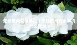 无线反向充电手机（无线反向充电手机怎么摆放）
