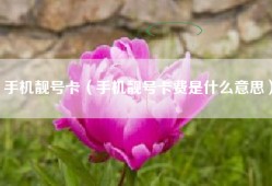 手机靓号卡（手机靓号卡费是什么意思）