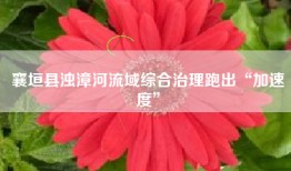 襄垣县浊漳河流域综合治理跑出“加速度”