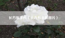 长方形手机（长方形手机图片）