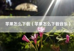 苹果怎么下载（苹果怎么下载音乐）