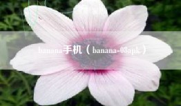 banana手机（banana-08apk）