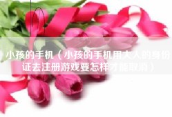 小孩的手机（小孩的手机用大人的身份证去注册游戏要怎样才能取消）