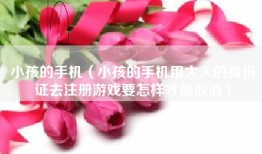 小孩的手机（小孩的手机用大人的身份证去注册游戏要怎样才能取消）