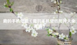 鹿的手机壁纸（鹿的手机壁纸图片大全高清）