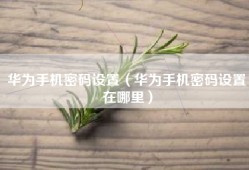 华为手机密码设置（华为手机密码设置在哪里）