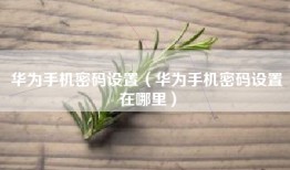 华为手机密码设置（华为手机密码设置在哪里）