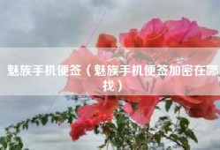 魅族手机便签（魅族手机便签加密在哪找）
