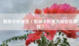 魅族手机便签（魅族手机便签加密在哪找）