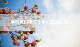手机被锁核了（手机已被锁死）