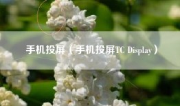 手机投屏（手机投屏TC Display）