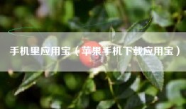 手机里应用宝（苹果手机下载应用宝）