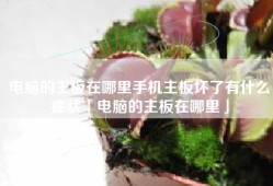 电脑的主板在哪里手机主板坏了有什么症状「电脑的主板在哪里」