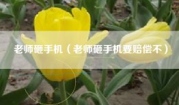 老师砸手机（老师砸手机要赔偿不）