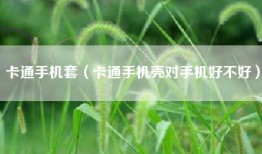 卡通手机套（卡通手机壳对手机好不好）