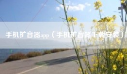 手机扩音器app（手机扩音器下载安装）