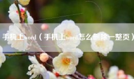 手机上word（手机上word怎么删除一整页）
