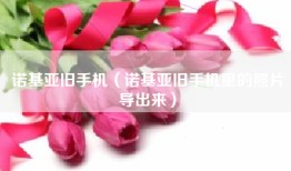 诺基亚旧手机（诺基亚旧手机里的照片导出来）