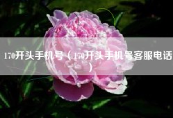 170开头手机号（170开头手机号客服电话）