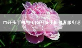 170开头手机号（170开头手机号客服电话）