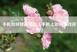 手机如何修改评价（手机上如何修改评价）
