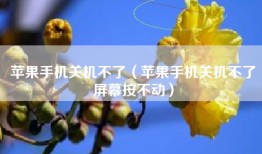 苹果手机关机不了（苹果手机关机不了屏幕按不动）