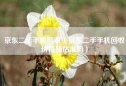 京东二手手机回收（京东二手手机回收价格预估准吗）
