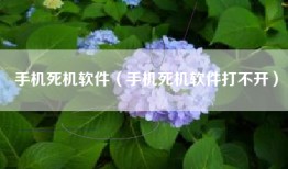 手机死机软件（手机死机软件打不开）