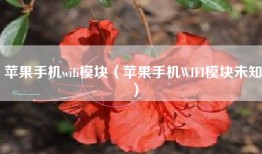 苹果手机wifi模块（苹果手机WIFI模块未知）