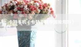 卡特手机（卡特手机中国能用吗）