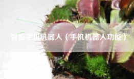 智能手机机器人（手机机器人功能）