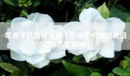 苹果手机游戏充值（苹果手机游戏充值记录怎么查询）