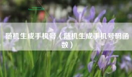 随机生成手机号（随机生成手机号码函数）