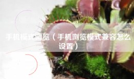 手机模式浏览（手机浏览模式兼容怎么设置）