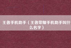 王者手机助手（王者荣耀手机助手叫什么名字）