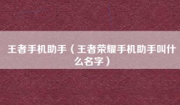 王者手机助手（王者荣耀手机助手叫什么名字）