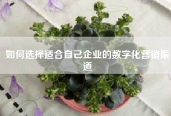如何选择适合自己企业的数字化营销渠道