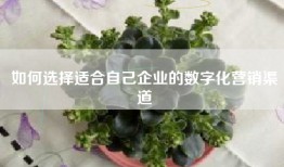 如何选择适合自己企业的数字化营销渠道