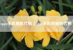 oppo手机刷机代码（oppo手机的刷机代码）