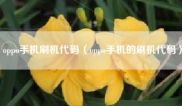 oppo手机刷机代码（oppo手机的刷机代码）