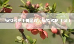 模拟驾驶手机游戏（模拟驾驶 手游）