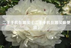 二手手机在哪买（二手手机在哪买最便宜）