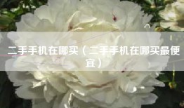 二手手机在哪买（二手手机在哪买最便宜）