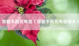 智能手机充电器（智能手机充电器插头）