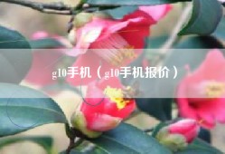 g10手机（g10手机报价）