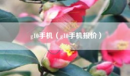 g10手机（g10手机报价）