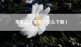 苹果的（苹果的怎么下载）