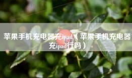 苹果手机充电器充ipad（苹果手机充电器充ipad行吗）