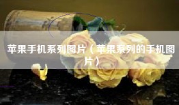 苹果手机系列图片（苹果系列的手机图片）